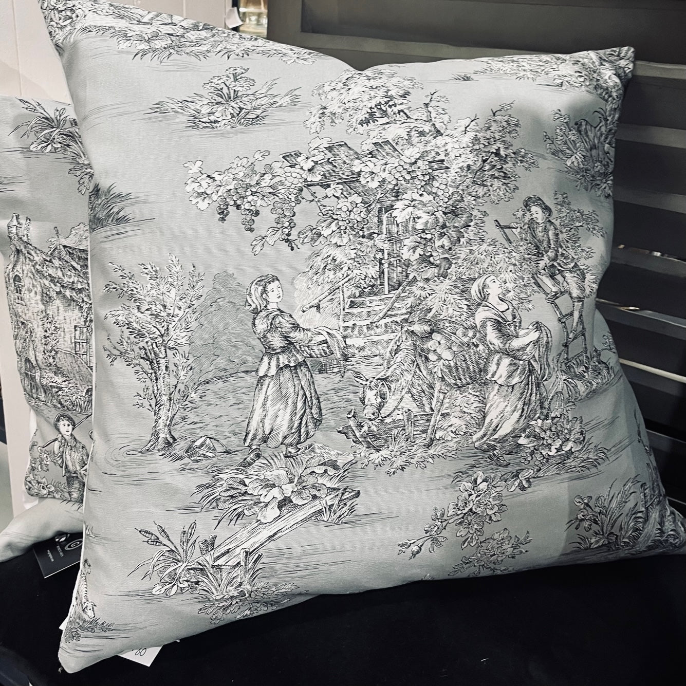 Toile Cushions