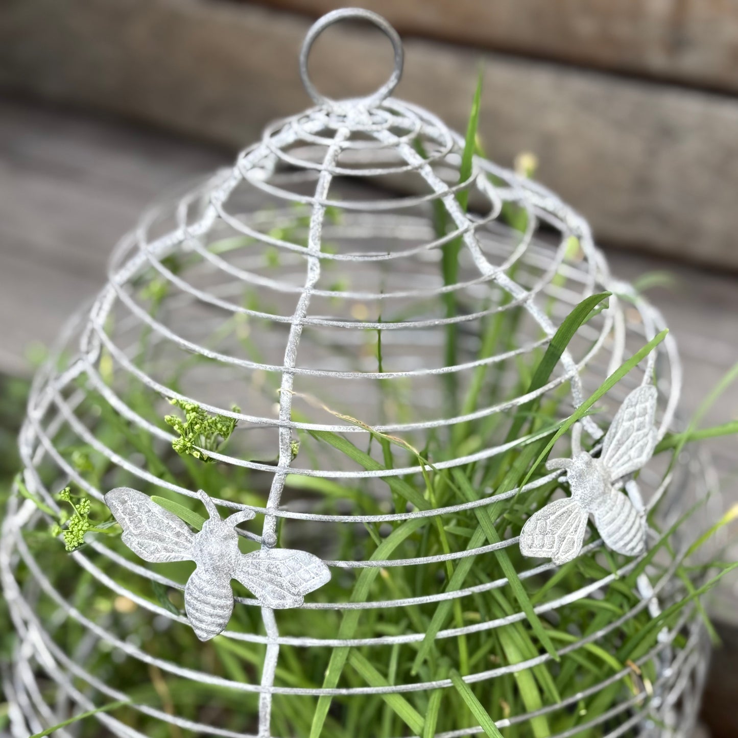 Wire Beehive Cloche