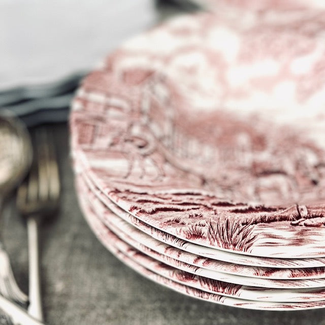 Royal Wessex Pink Toile Bowls