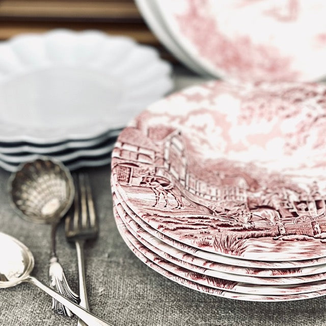 Royal Wessex Pink Toile Bowls